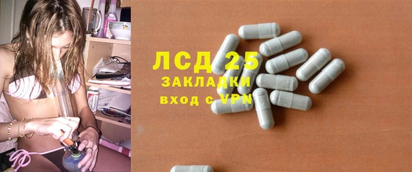 MESCALINE Елизово