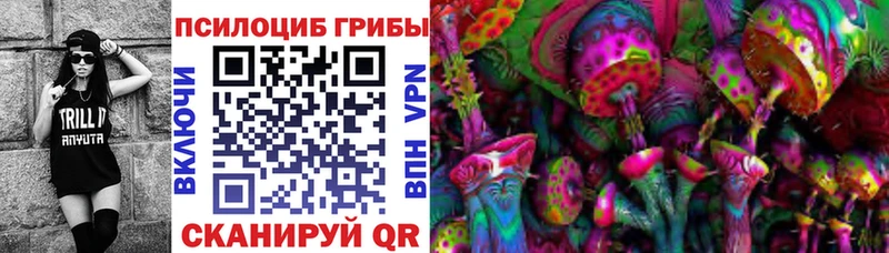 Псилоцибиновые грибы мицелий  Пустошка 